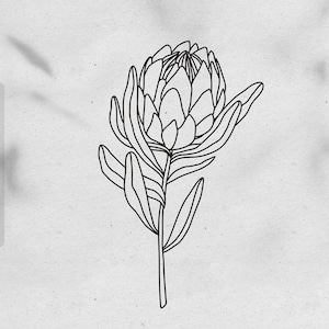 Boho Protea bloem svg bestanden voor cricut Floral svg Protea bloem clipart Instant download Botanische lijn kunst clipart png Commercieel gebruik
