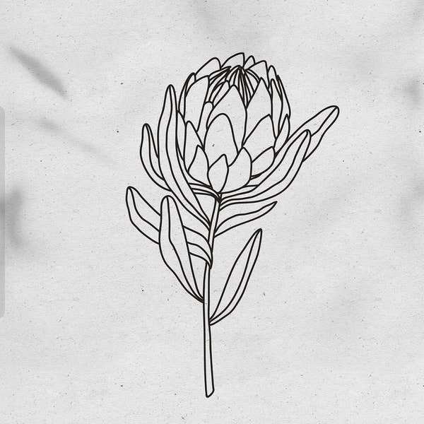 Boho Protea flower svg files for cricut Floral svg Protea flower clipart Instant download Botanical line art clipart png Commercial use