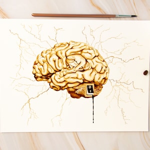 Poster Anatomie des menschlichen Gehirns: Psychologisch und Neurowissenschaftliche Wandkunst für Medizinstudierende und Professionelle