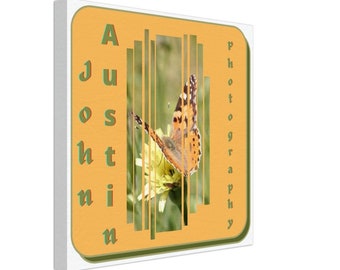 Painted Lady Butterfly Canvas: Photo by John Austin Photography