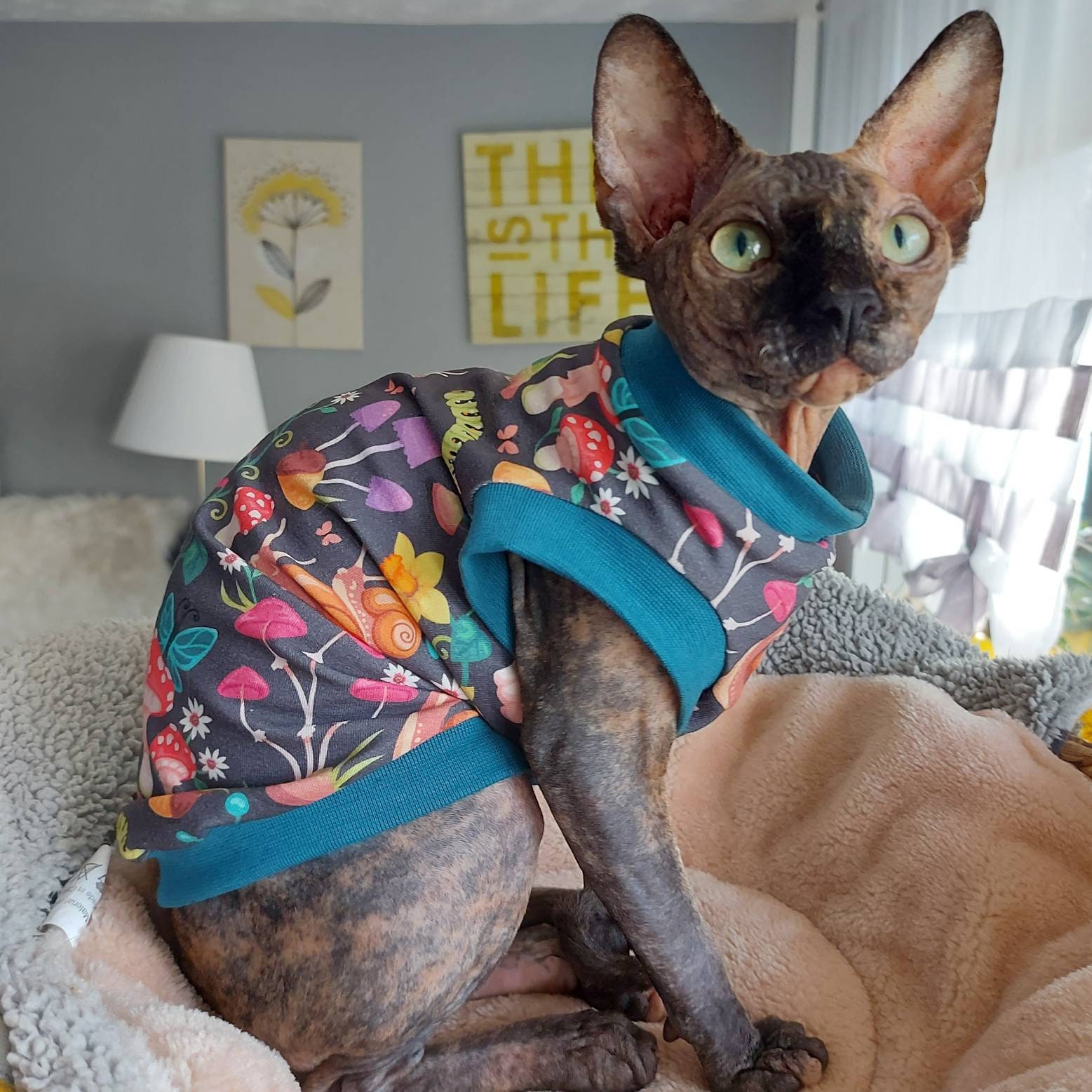 Sphynx Cat Clothes Sewing Pattern lupon.gov.ph