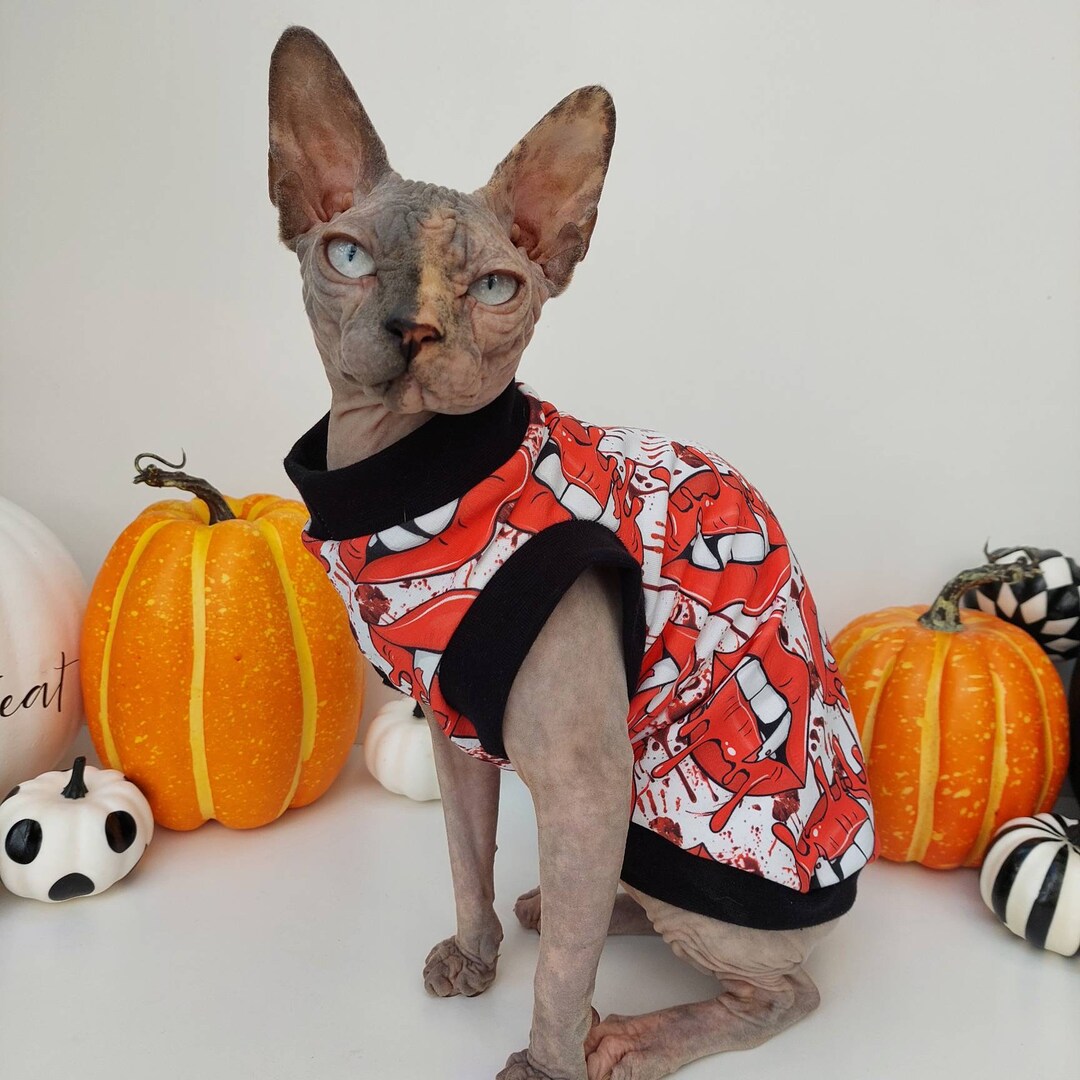 Halloween Sphynx Cat Top Tshirt Jersey Cat Clothes Etsy
