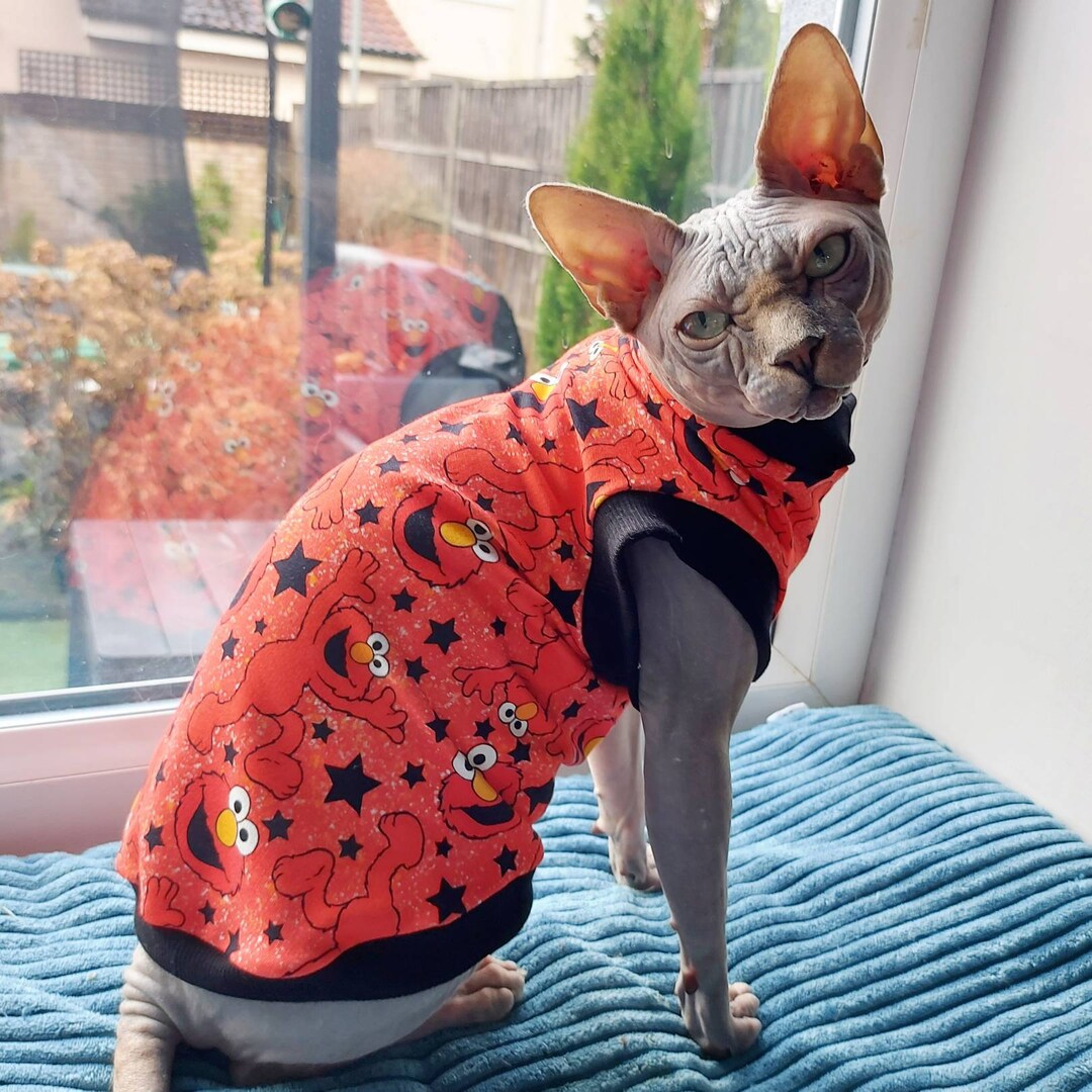 Sphynx Cat Top Tshirt Jersey Cat Clothes Etsy