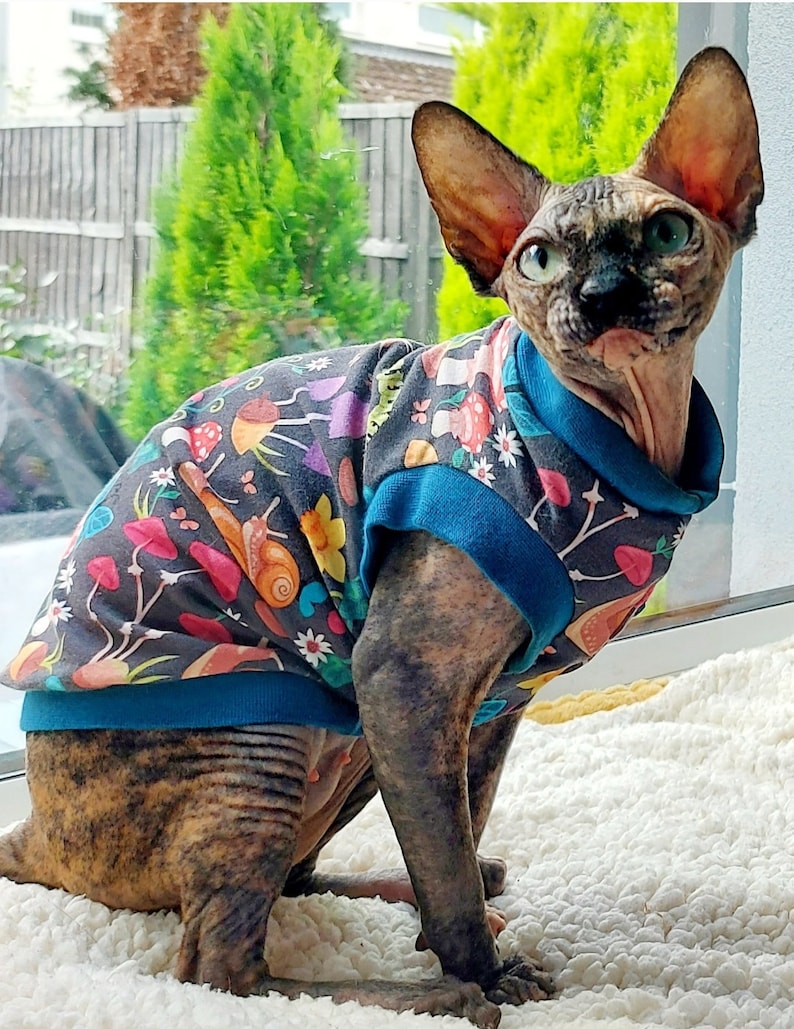 Snails and Mushrooms Sphynx Cat Top Tshirt Jersey Cat Clothes image 1