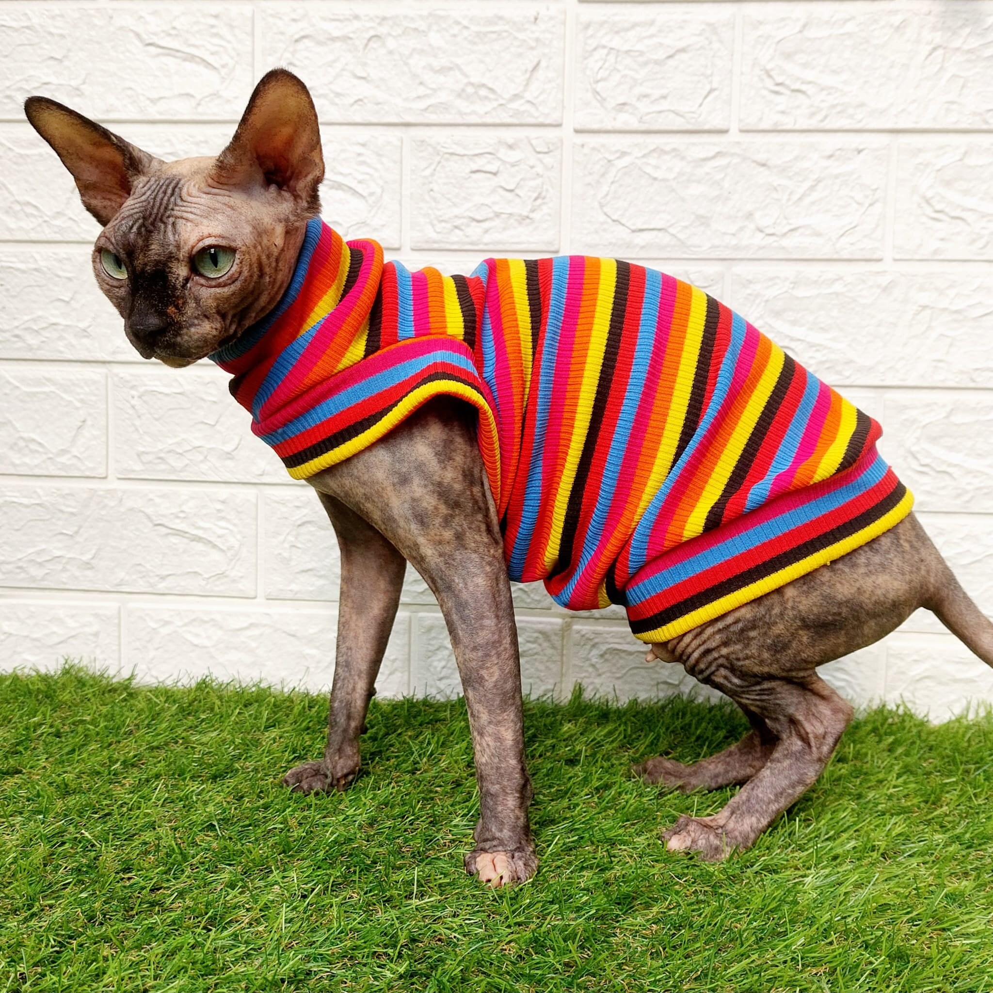 Cat hotsell print cardigan