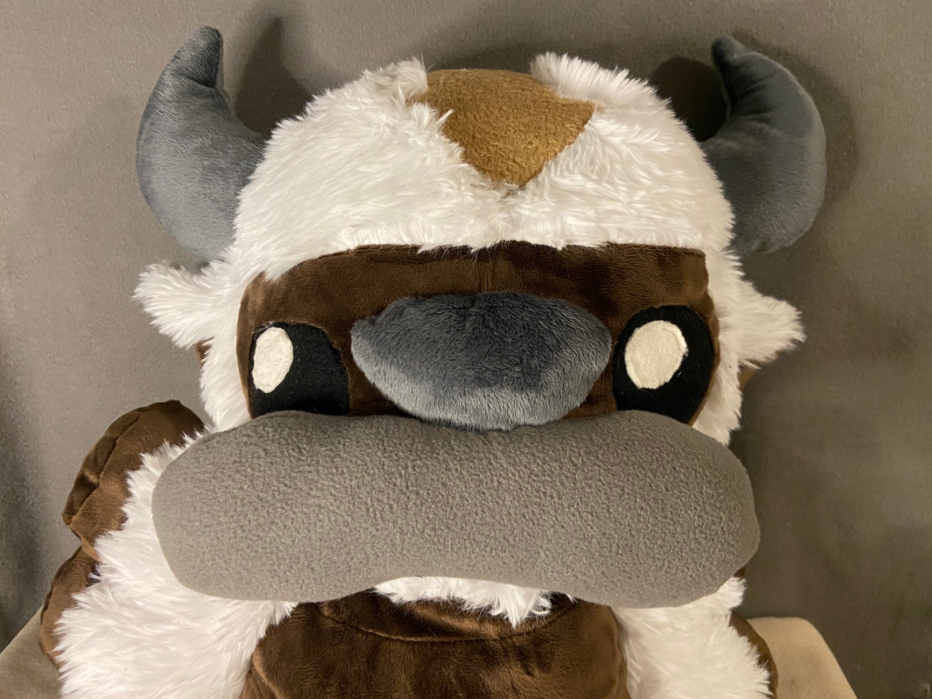 appa pillow pet