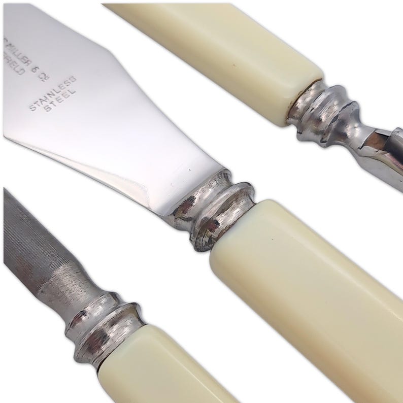May include: Close-up of stainless steel knives with off-white handles. The blades are shiny and reflect light. The handles have a classic design with a silver metal bolster. The text "STAINLESS STEEL" is visible on the blade.