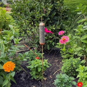 Cattail bird feeder