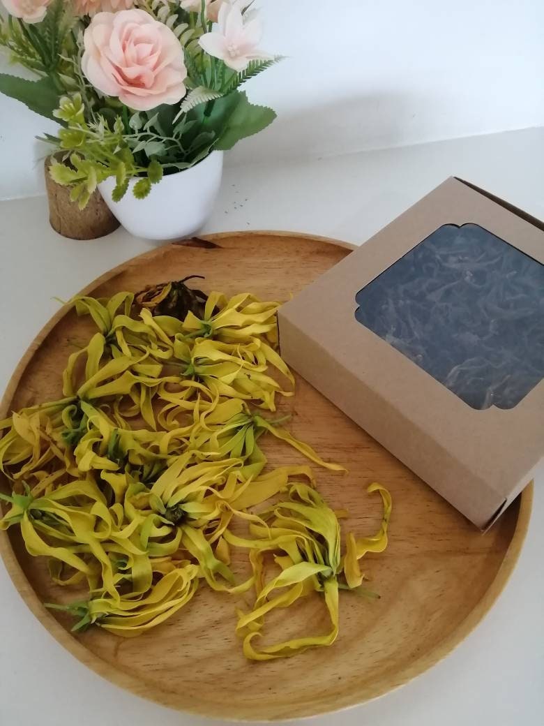 Dried organic ylang ylang flower tea Cananga odorataHerbal Etsy
