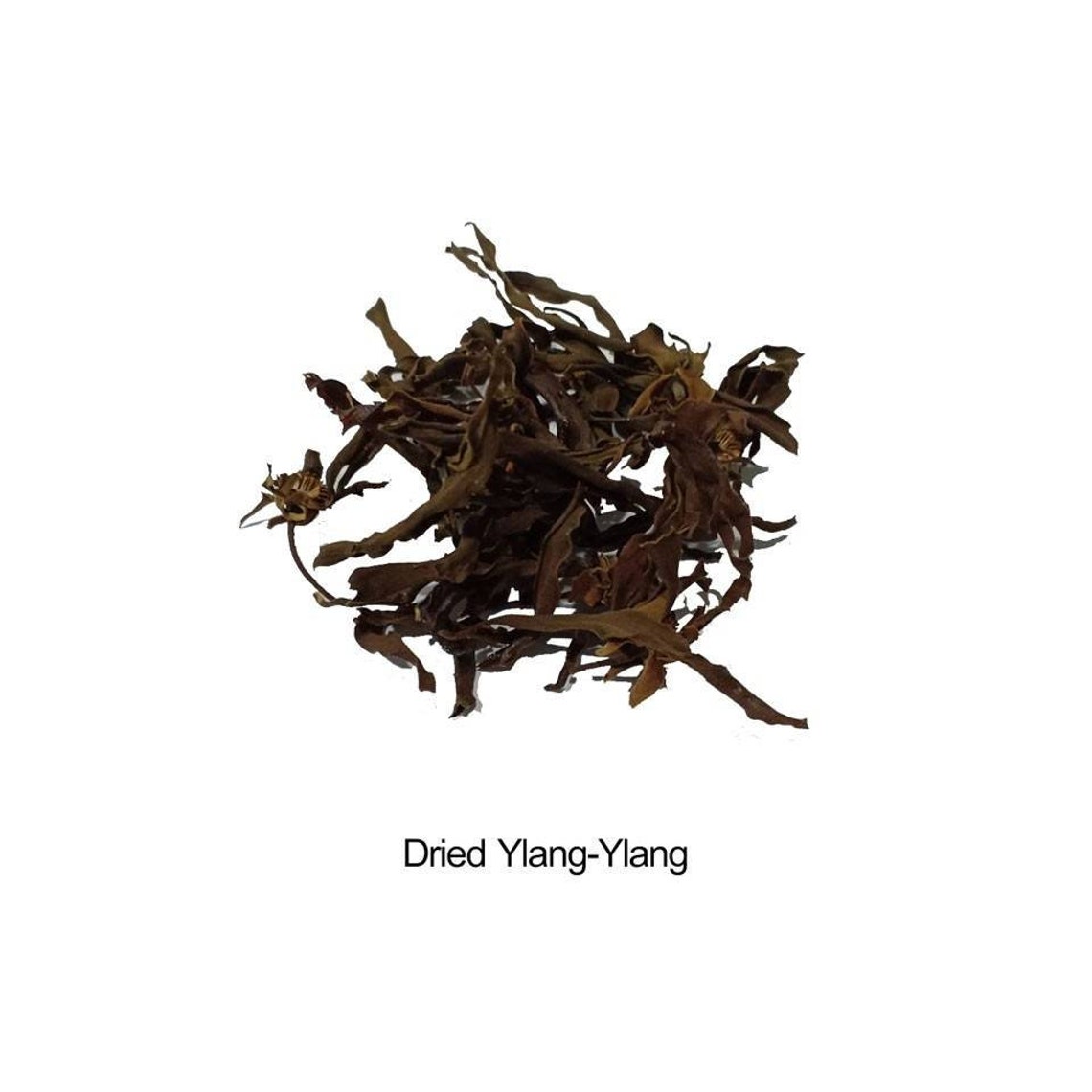 Dried organic ylang ylang flower tea Cananga odorataHerbal Etsy