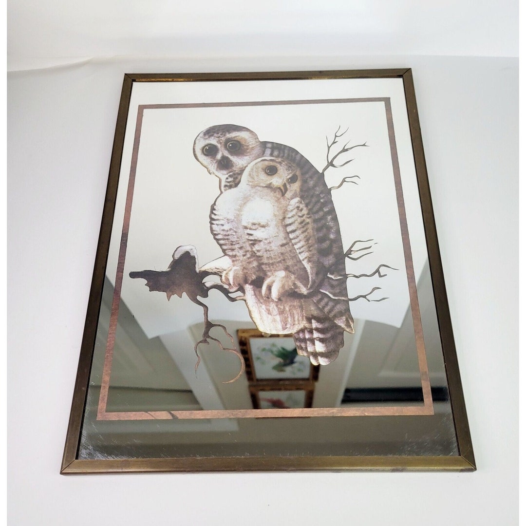 Brytone Mechanical Mirror Works Owl Wall Picture Hanging Etsy