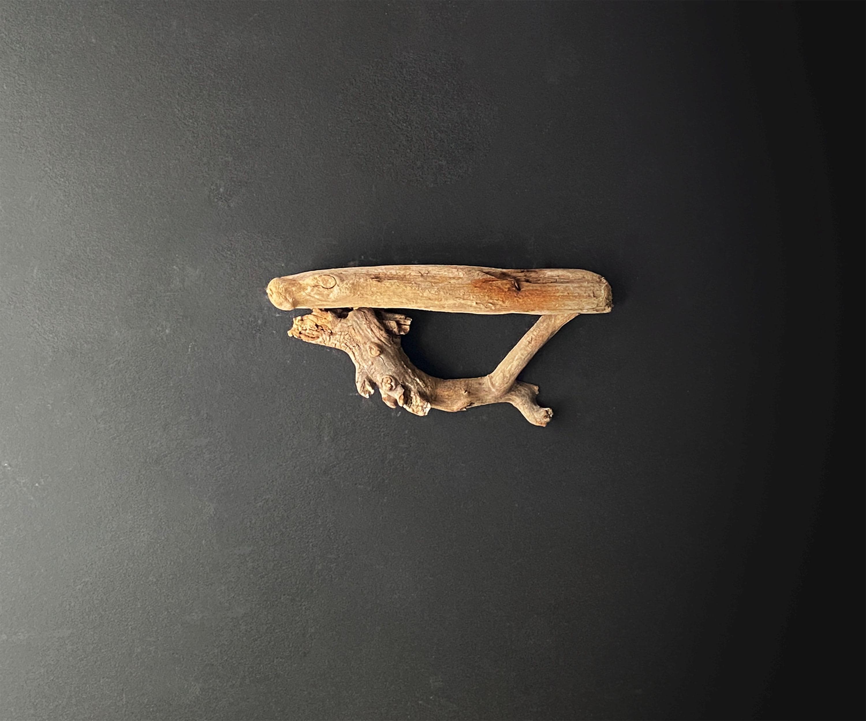 Dark and Gothic Driftwood Floating Shelf | Raw Wood | Beach Theme Wall Decor | Natural Wood Accent | Rustic Plant Room | Rare Find