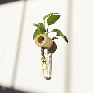 Handmade Plant Propagation Piece |  Wall Décor Propagation |  Rare Find  | Gift for Her | Plant Room  | Green Space