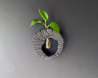 Burned Wood Propagation Wall Vase | Charred Wood Plant Holder | Minimalist Wabi-Sabi Decor | Shou Sugi Ban | Natural  Wood Art | Rare Find