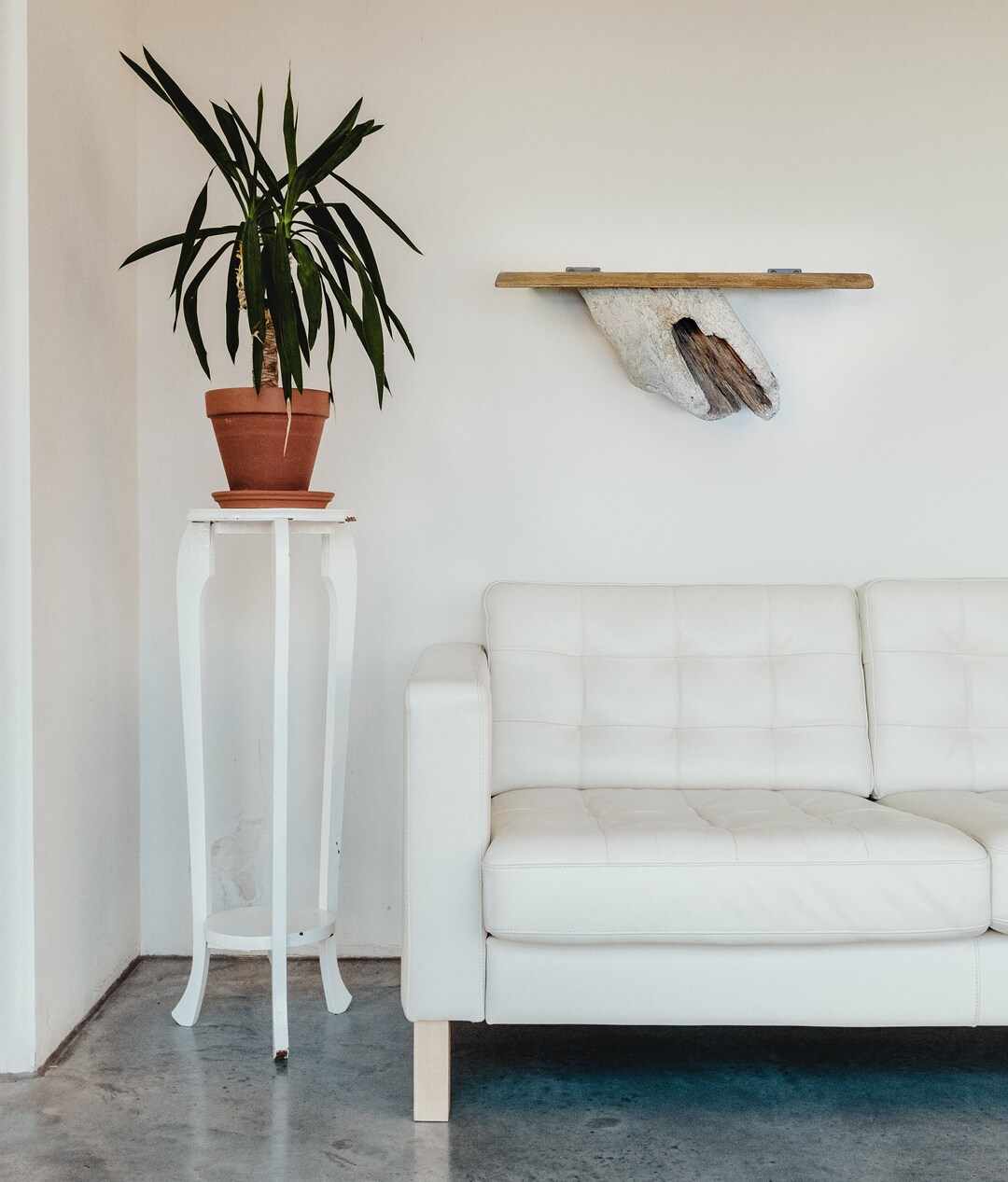 Live Edge Floating Shelf Driftwood Wall Décor Natural Plant Shelf Drift