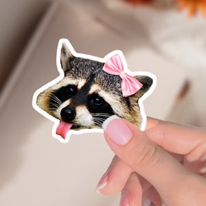 Funny Animal Racoon Sticker Cute Coquette raccoon sticker Raccoon Lover Gifts Laptop Art Sticker Hydroflask Sticker Trash Panda