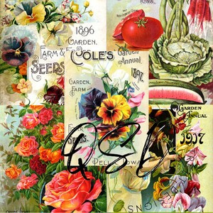 Vintage Seed Catalog Prints Digital Download, 5 Different High Resolution Images for Wall Art, Crafts, Sublimation, Vintage Floral D-VS-1-12