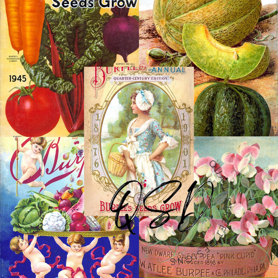 Vintage Seed Catalog Prints Digital Download, 5 Different High