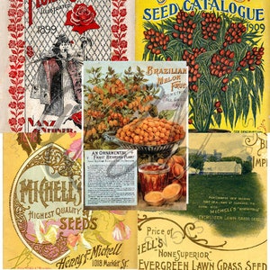Vintage Seed Catalog Prints Digital Download, 5 Different High Resolution Images for Wall Art, Crafts, Sublimation, Vintage Floral D-VS-3-06