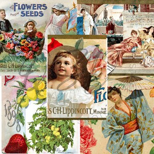 Vintage Seed Catalog Prints Digital Download, 5 Different High Resolution Images for Wall Art, Crafts, Sublimation, Vintage Floral D-VS-2-16