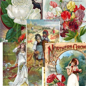 Vintage Seed Catalog Prints Digital Download, 5 Different High Resolution Images for Wall Art, Crafts, Sublimation, Vintage Floral D-VS-3-07