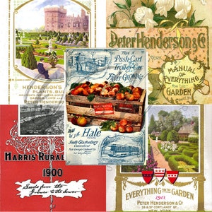 Vintage Seed Catalog Prints Digital Download, 5 Different High Resolution Images for Wall Art, Crafts, Sublimation, Vintage Floral D-VS-2-12