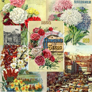 Vintage Seed Catalog Prints Digital Download, 5 Different High Resolution Images for Wall Art, Crafts, Sublimation, Vintage Floral D-VS-3-10