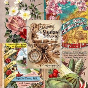 Vintage Seed Catalog Prints Digital Download, 5 Different High Resolution Images for Wall Art, Crafts, Sublimation, Vintage Floral D-VS-3-14