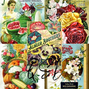 Vintage Seed Catalog Prints Digital Download, 5 Different High Resolution Images for Wall Art, Crafts, Sublimation, Vintage Floral D-VS-1-01