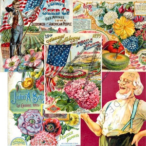 Vintage Seed Catalog Prints Digital Download, 5 Different High Resolution Images for Wall Art, Crafts, Sublimation, Vintage Floral D-VS-2-15