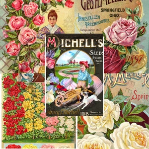 Vintage Seed Catalog Prints Digital Download, 5 Different High Resolution Images for Wall Art, Crafts, Sublimation, Vintage Floral D-VS-3-05