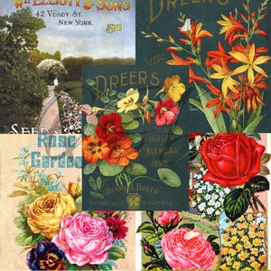 Vintage Seed Catalog Prints Digital Download, 5 Different High Resolution Images for Wall Art, Crafts, Sublimation, Vintage Floral D-VS-2-04