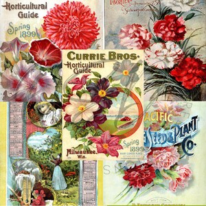 Vintage Seed Catalog Prints Digital Download, 5 Different High Resolution Images for Wall Art, Crafts, Sublimation, Vintage Floral D-VS-2-02