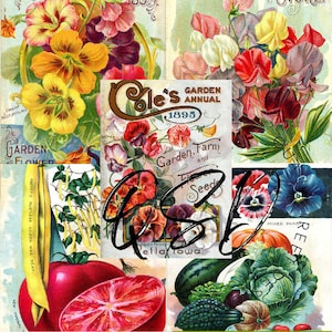 Vintage Seed Catalog Prints Digital Download, 5 Different High Resolution Images for Wall Art, Crafts, Sublimation, Vintage Floral D-VS-1-13