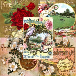 Vintage Seed Catalog Prints Digital Download, 5 Different High Resolution Images for Wall Art, Crafts, Sublimation, Vintage Floral D-VS-2-13