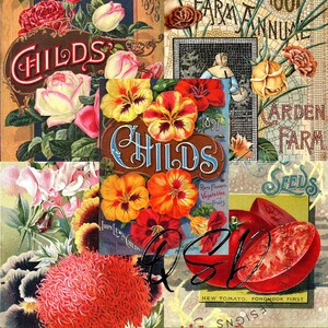 Vintage Seed Catalog Prints Digital Download, 5 Different High Resolution Images for Wall Art, Crafts, Sublimation, Vintage Floral D-VS-1-09