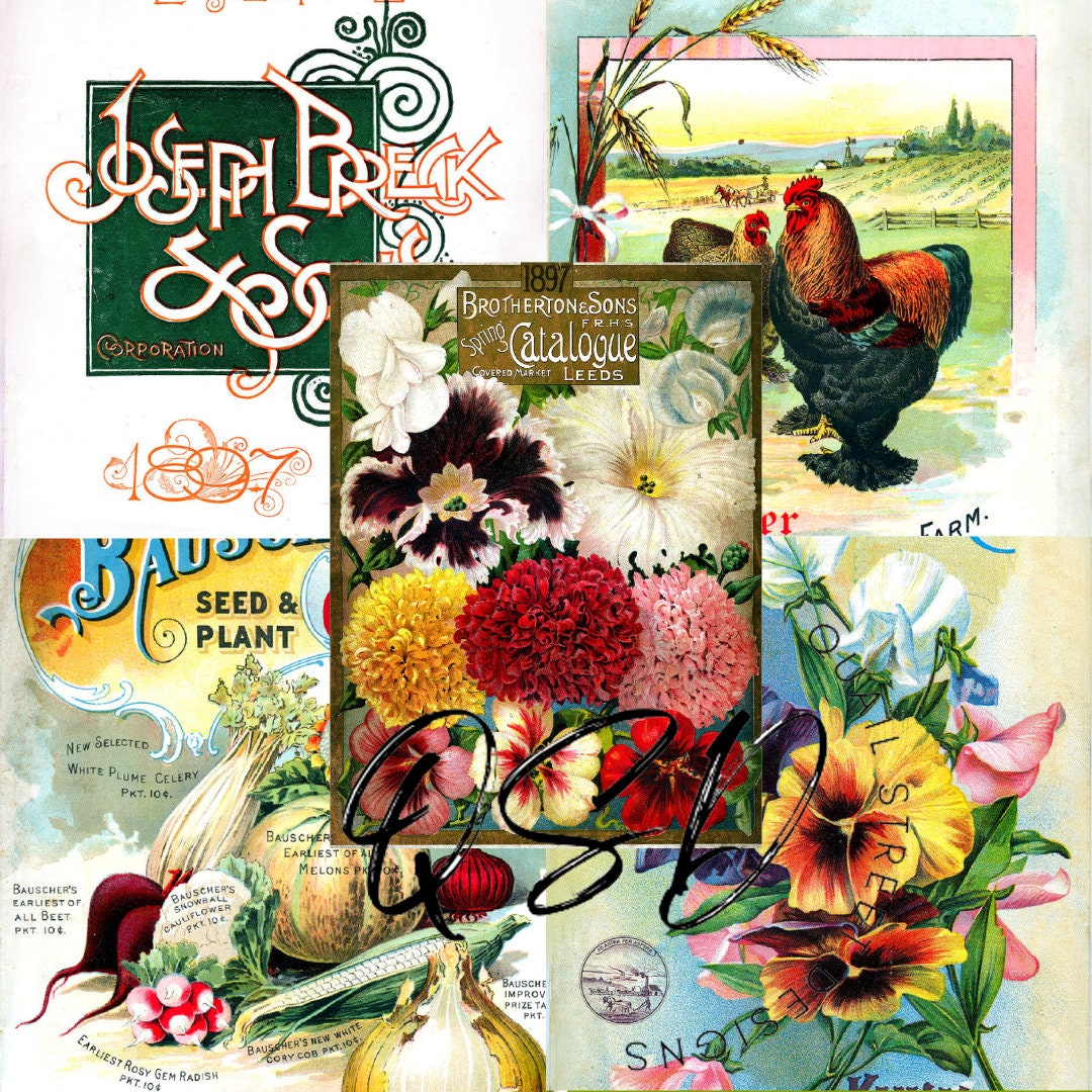 Vintage Seed Catalog Prints Digital Download, 5 Different High