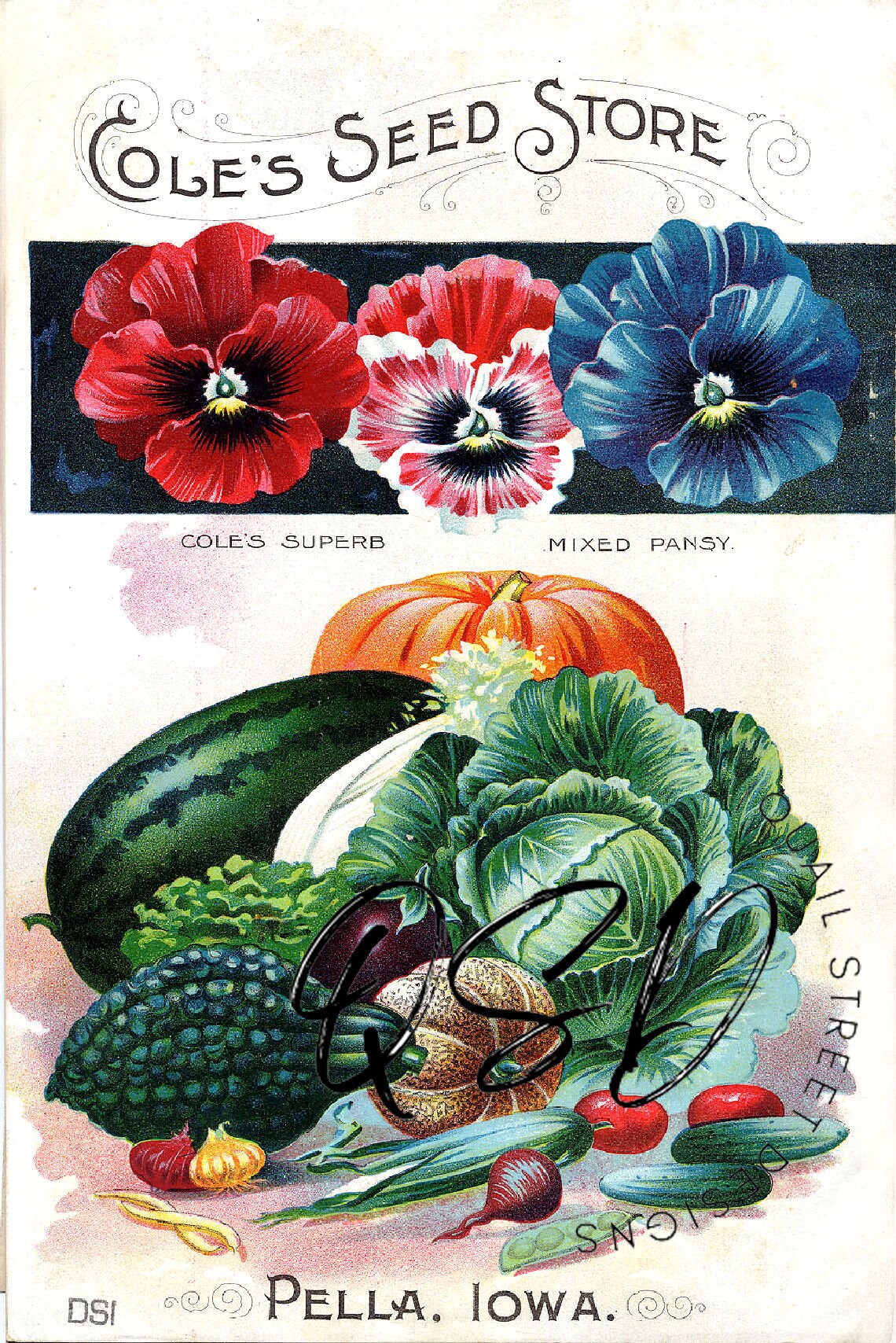 Vintage Seed Catalog Prints Digital Download, 5 Different High