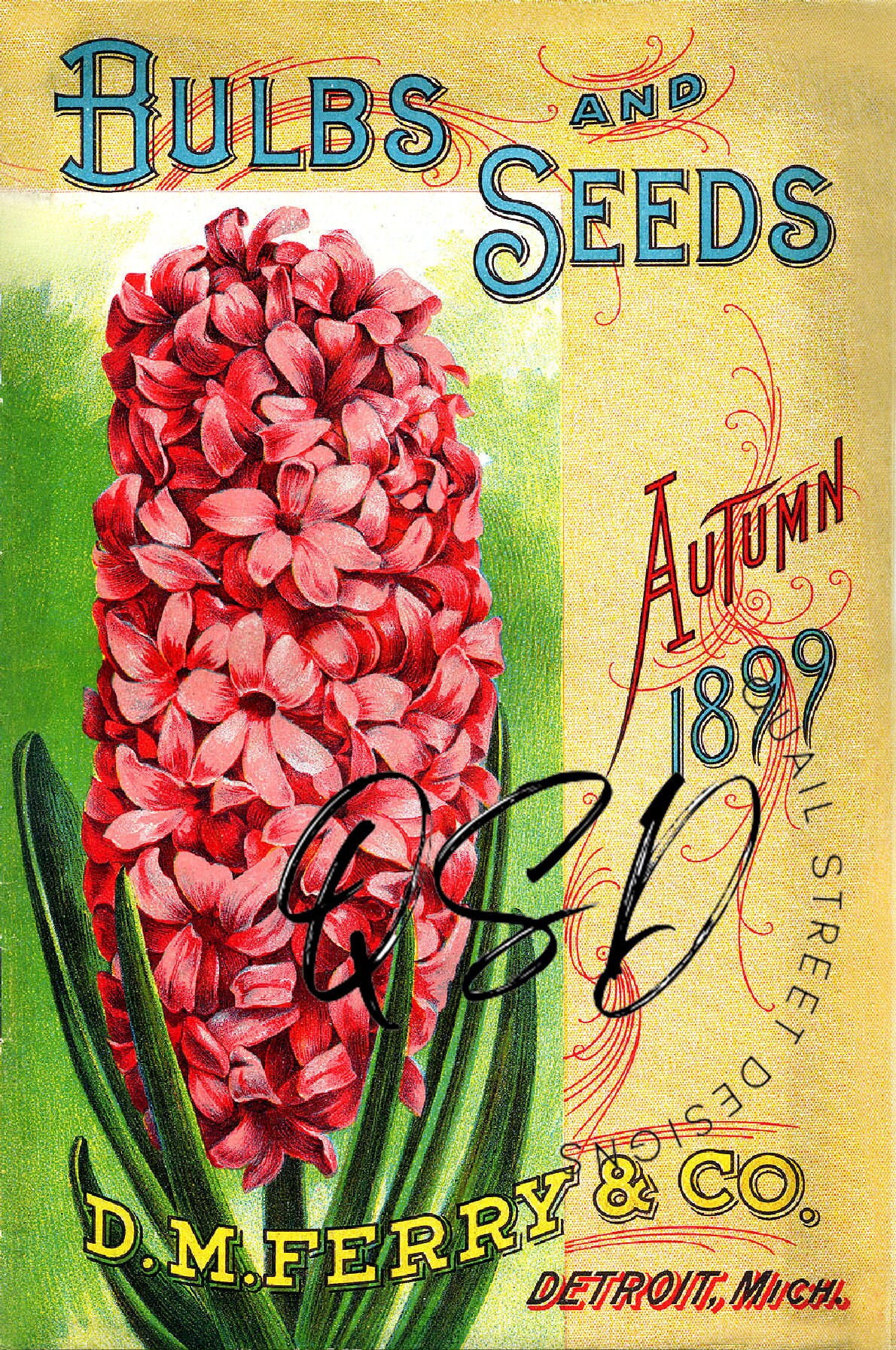 Vintage Seed Catalog Prints Digital Download, 5 Different High