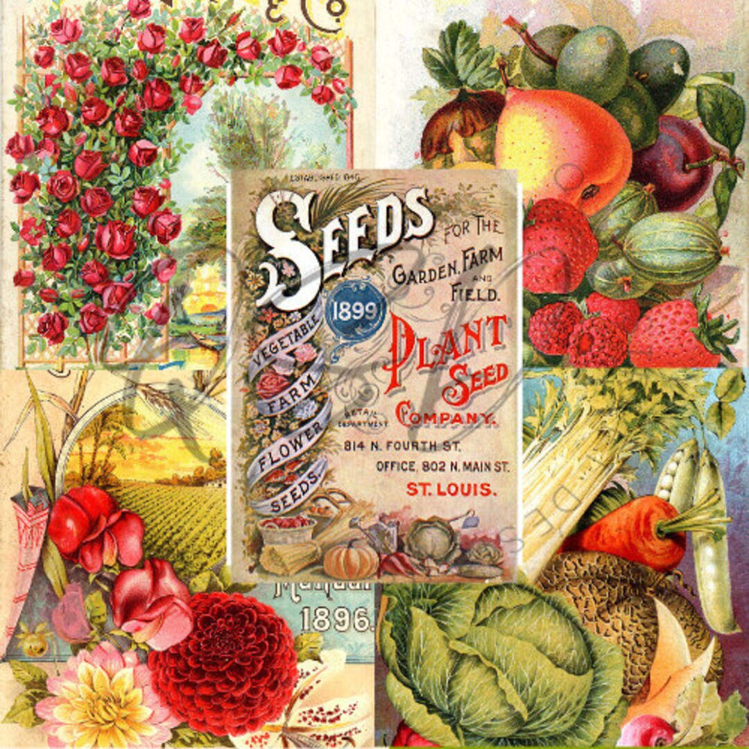 Vintage Seed Catalog Prints Digital Download, 5 Different High