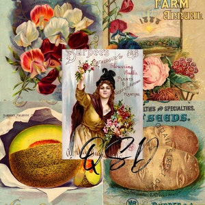 Vintage Seed Catalog Prints Digital Download, 5 Different High Resolution Images for Wall Art, Crafts, Sublimation, Vintage Floral D-VS-1-08