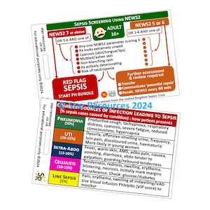 Tarjeta de identificación de NEWS2 para detección de sepsis en adultos: guía de bolsillo para paramédicos