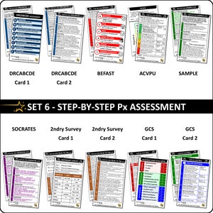 Lot de 6 - Cartes éclair pour badges étape par étape d'évaluation du patient Étudiants infirmiers, ambulanciers paramédicaux, ambulances