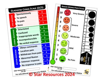 SBAR & Glasgow Coma Scale Badge Card for Student Nurses, Medical ...