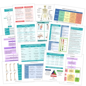 Paediatric Patient Assessment Revision Flash Cards - Flashcards for Medical Students, Paramedics, ECA’s, St John Ambulance