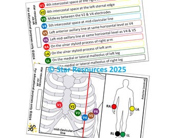 ECG Lead Placement ID Badge Flash Cards Student Paramedics Ambulance