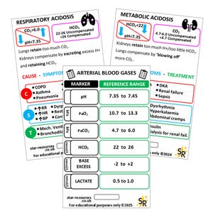 Arterial Blood Gas ID Badge FlashCard Set Student Paramedics Nurses