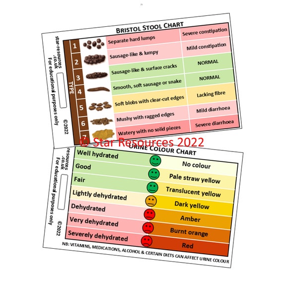 Bristol Stool and Urine Colour Charts ID Badge Flash Card Nurse Student  Paramedic FREC Ambulance -  UK