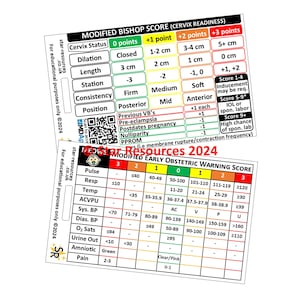 Pontuação de bispo modificada e cartão flash MEOWS, enfermeira, estudante, parteira, paramédico, ambulância FREC