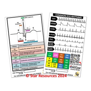EKG rhythms ID Badge Karte Schüler Sanitäter Krankenwagen